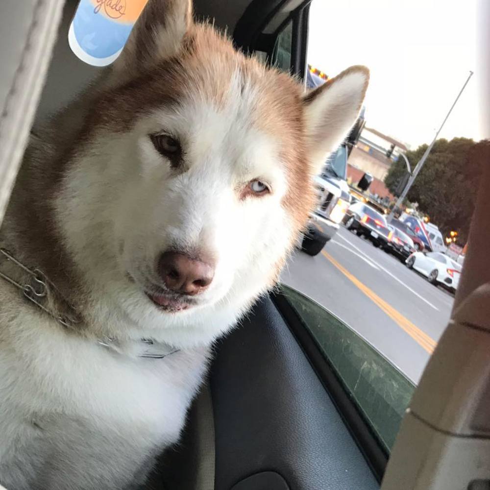 Meet your Posher, Tran